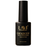 LAVI Gel 0.5oz - French Top Coat Square Bottle (HEMA & TPO Free) (Pk: 216 pcs/case)