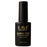 LAVI Gel 0.5oz - Shiny Top Coat Square Bottle (HEMA & TPO Free) (Pk: 216 pcs/case)